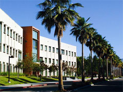 Csun留学 カリフォルニア州立大学ノースリッジ校 California State University Northridge
