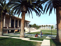 Csun留学 カリフォルニア州立大学ノースリッジ校 California State University Northridge