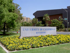 Ucr留学 カリフォルニア大学リバーサイド校 University Of California Riverside