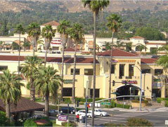 Ucr留学 カリフォルニア大学リバーサイド校 University Of California Riverside